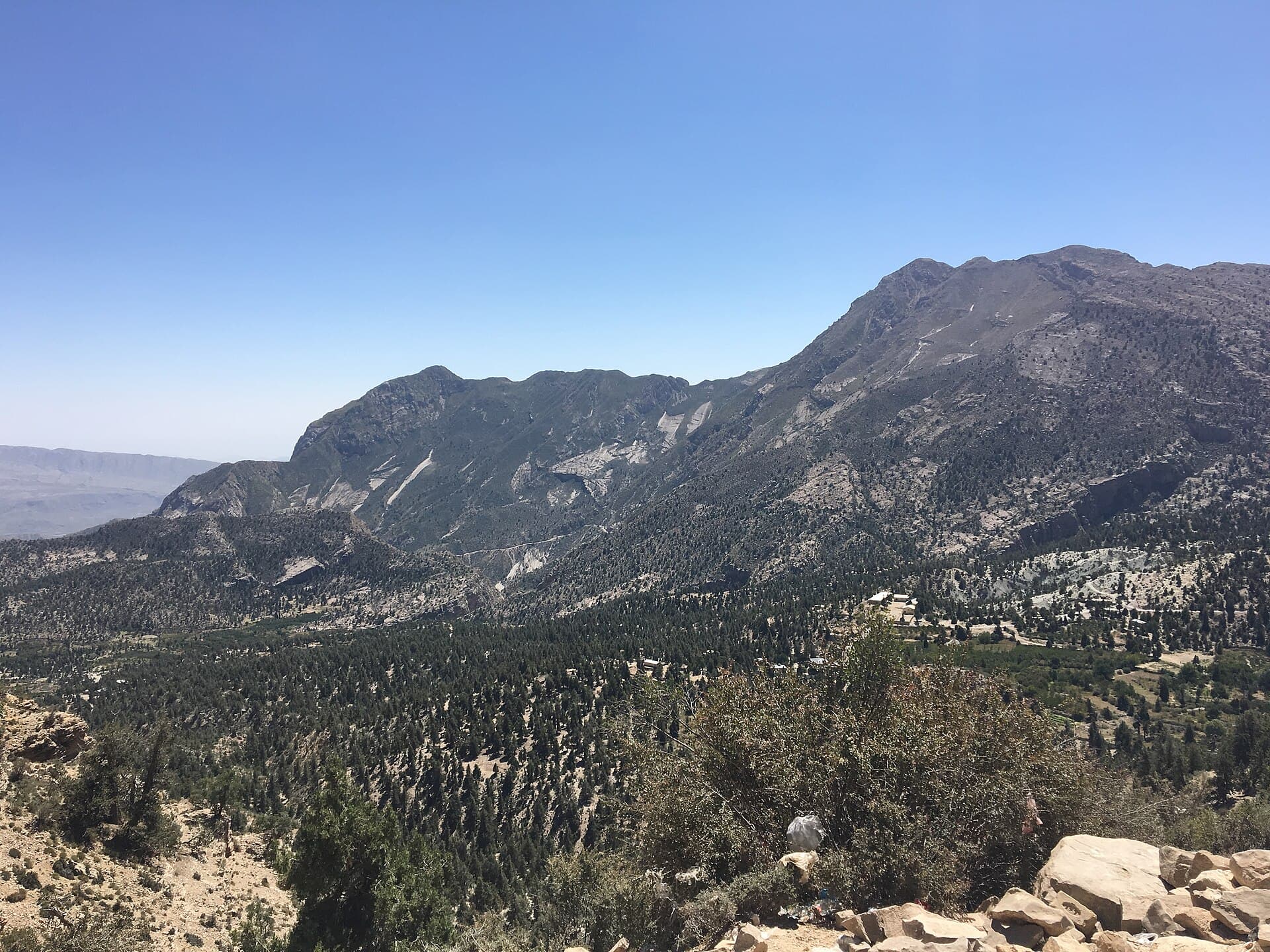 Juniper-covered slopes below bare ridges in the Ziarat valley