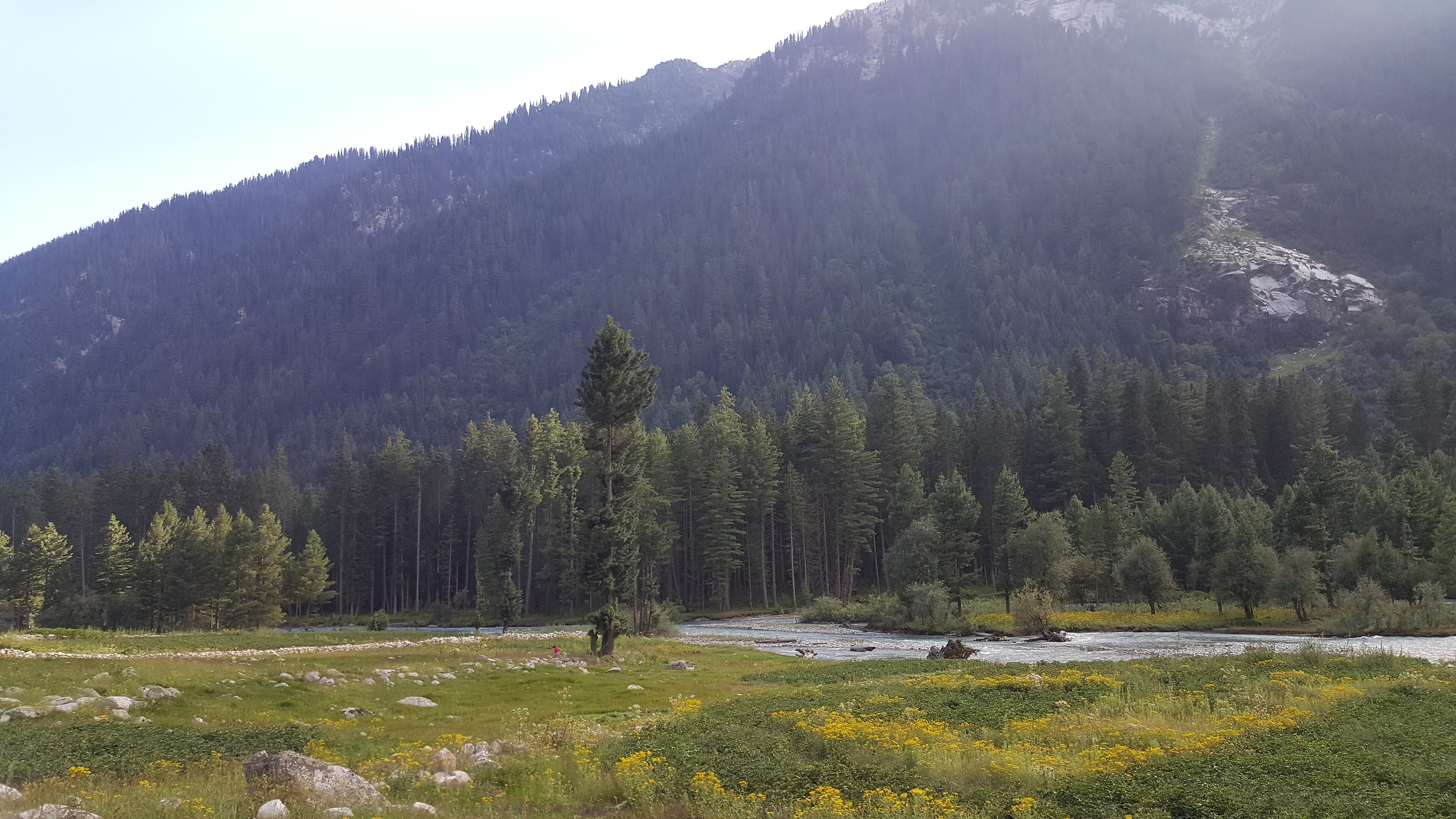 Deodar forest and river in the Kumrat Valley