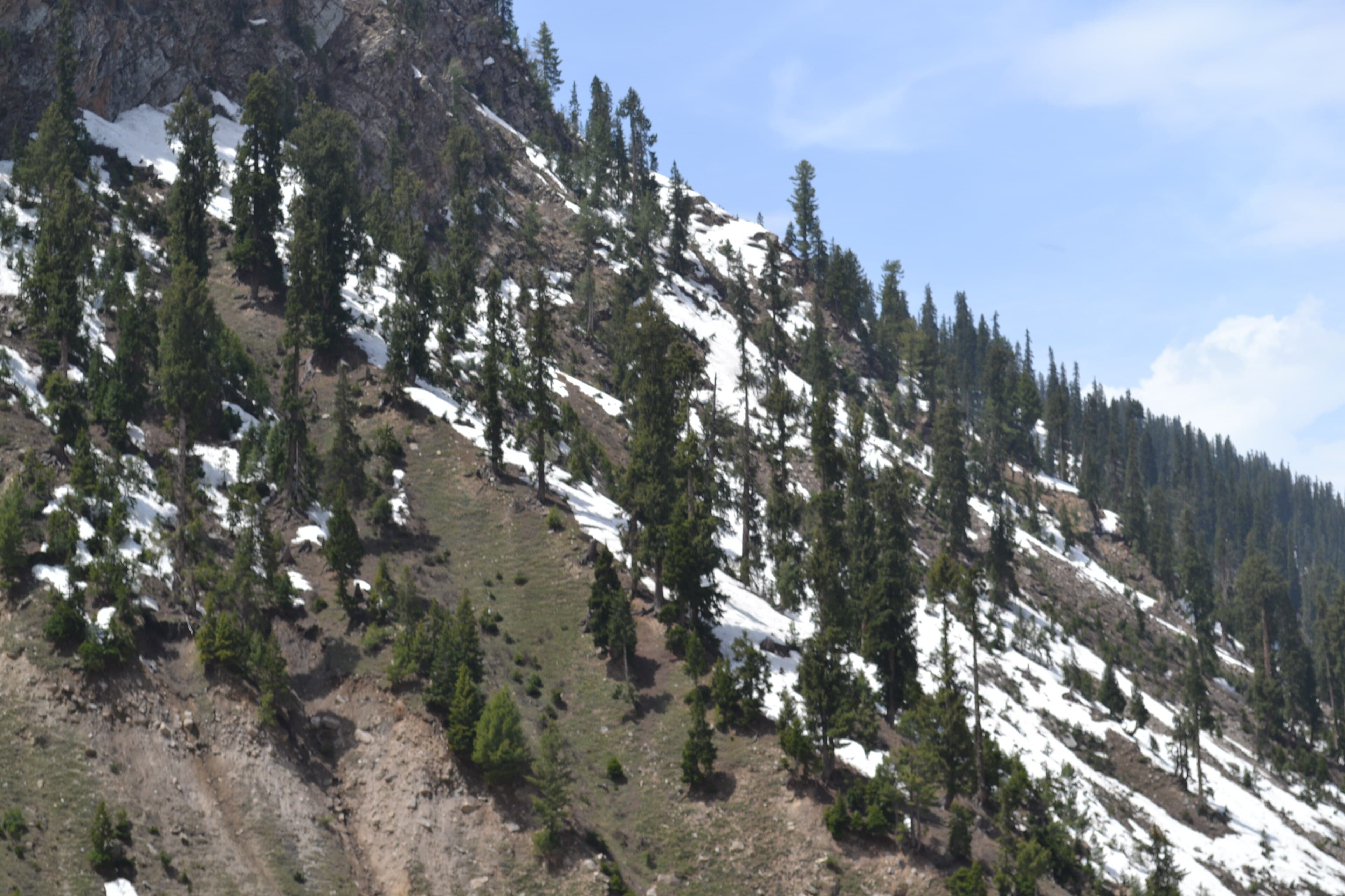 The shoreline track at Lake Saiful Muluk