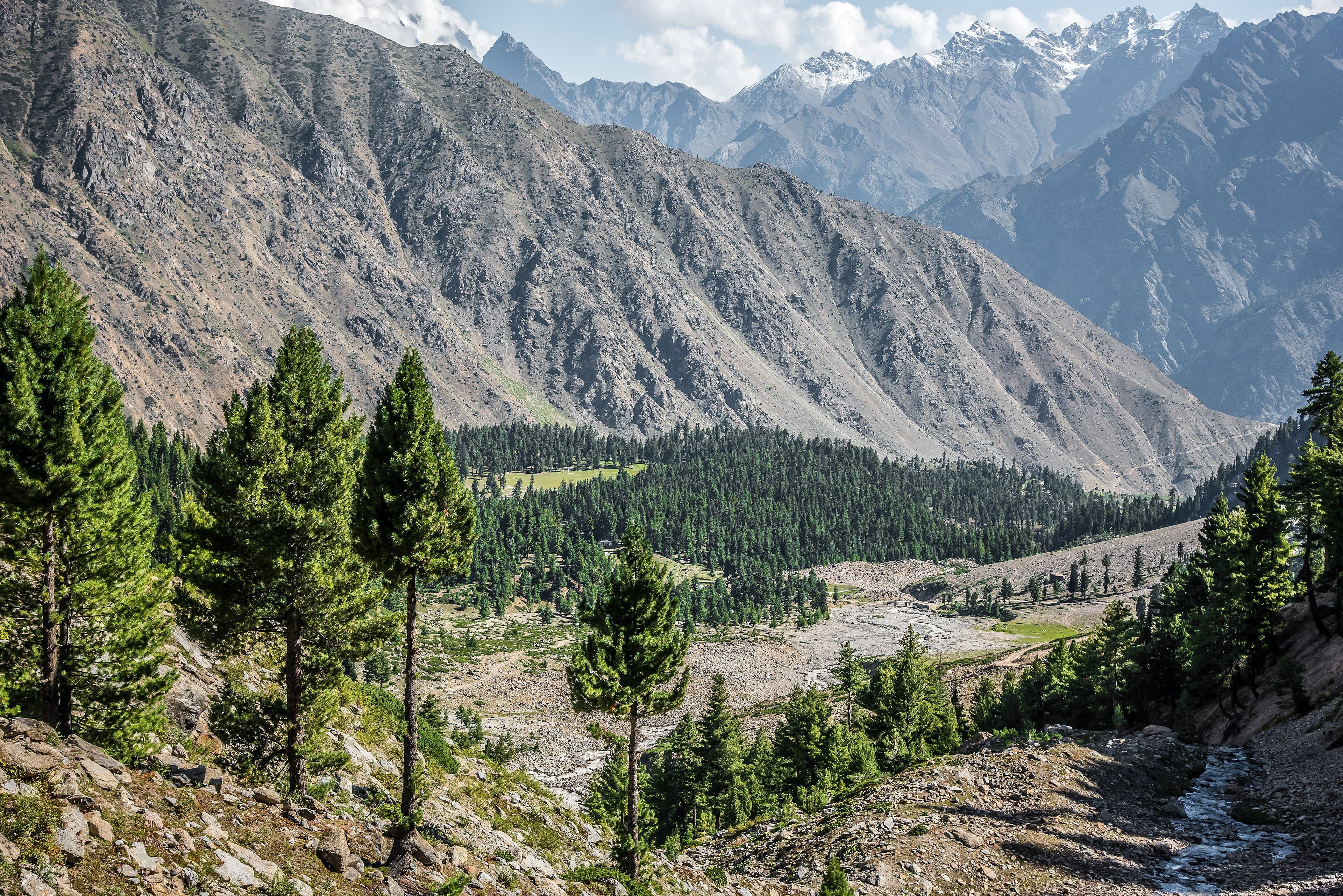 Rama Meadow near Astore