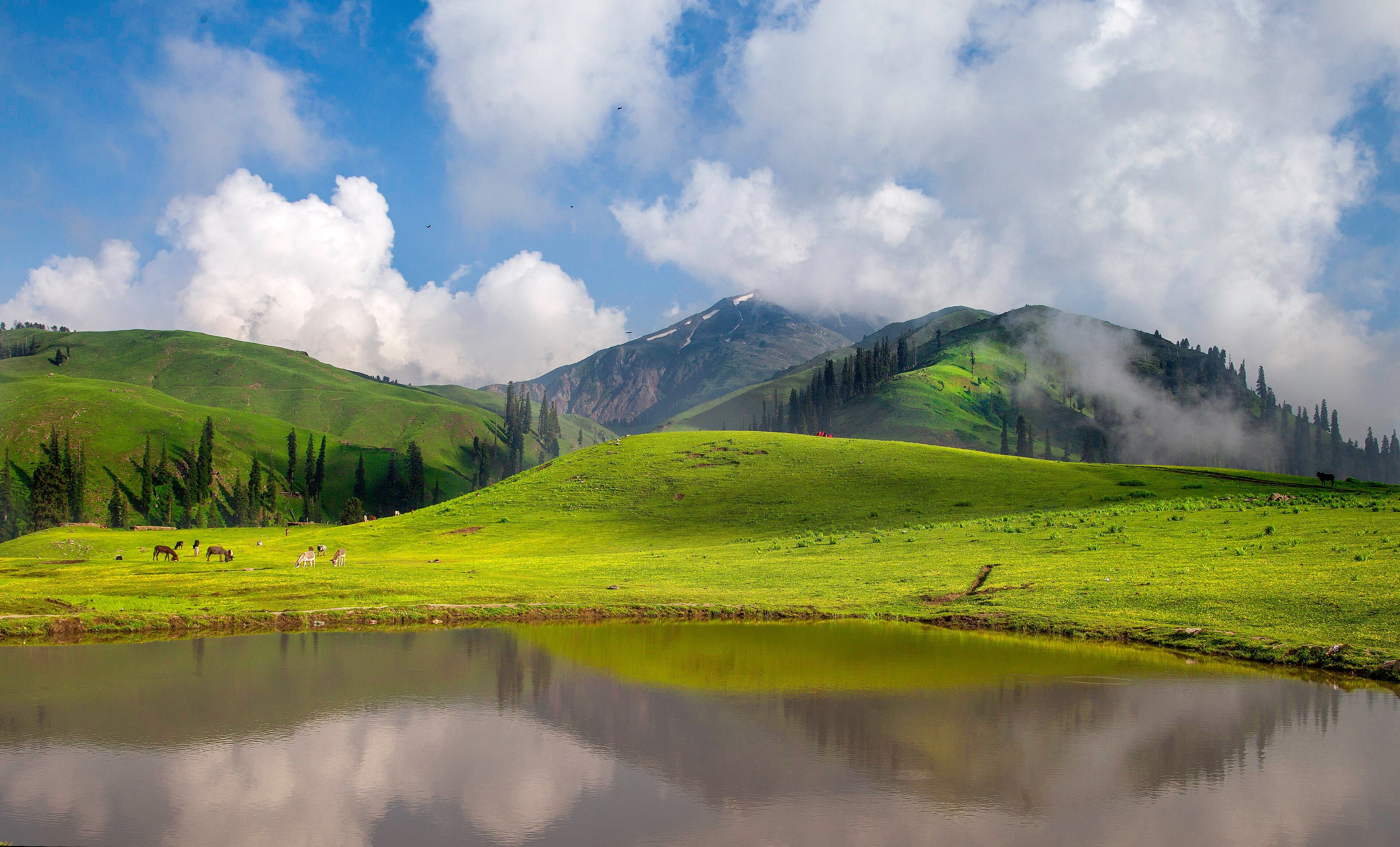 Shogran meadow, Kaghan Valley