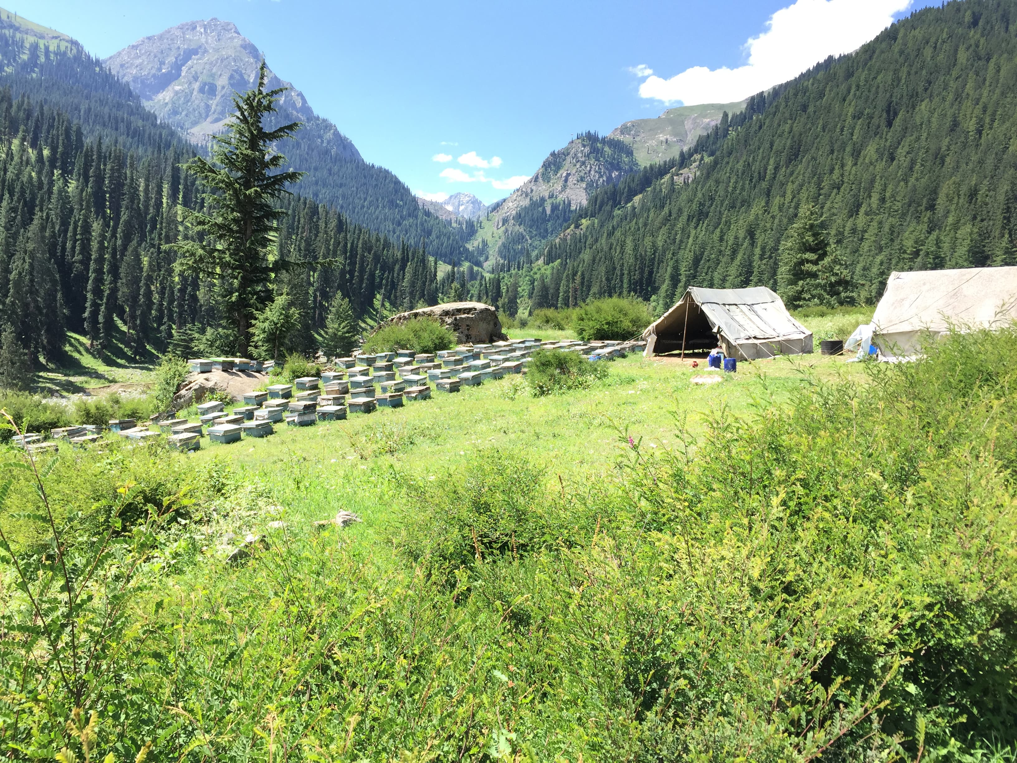 Utror Valley near Kalam