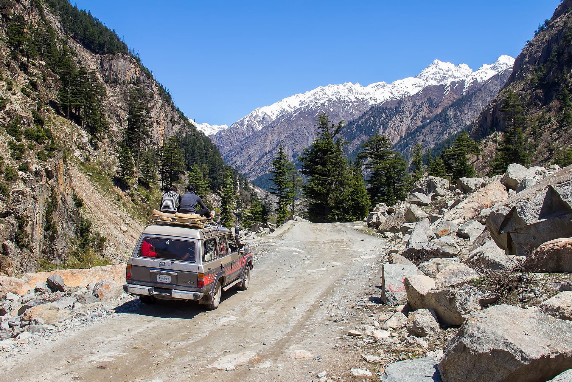 Forest road through the Swat valley