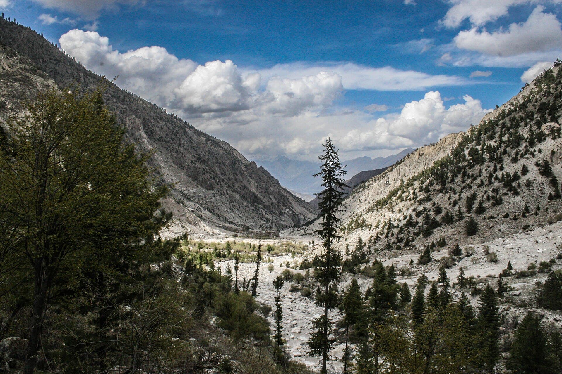 Trail leading to Fairy Meadows