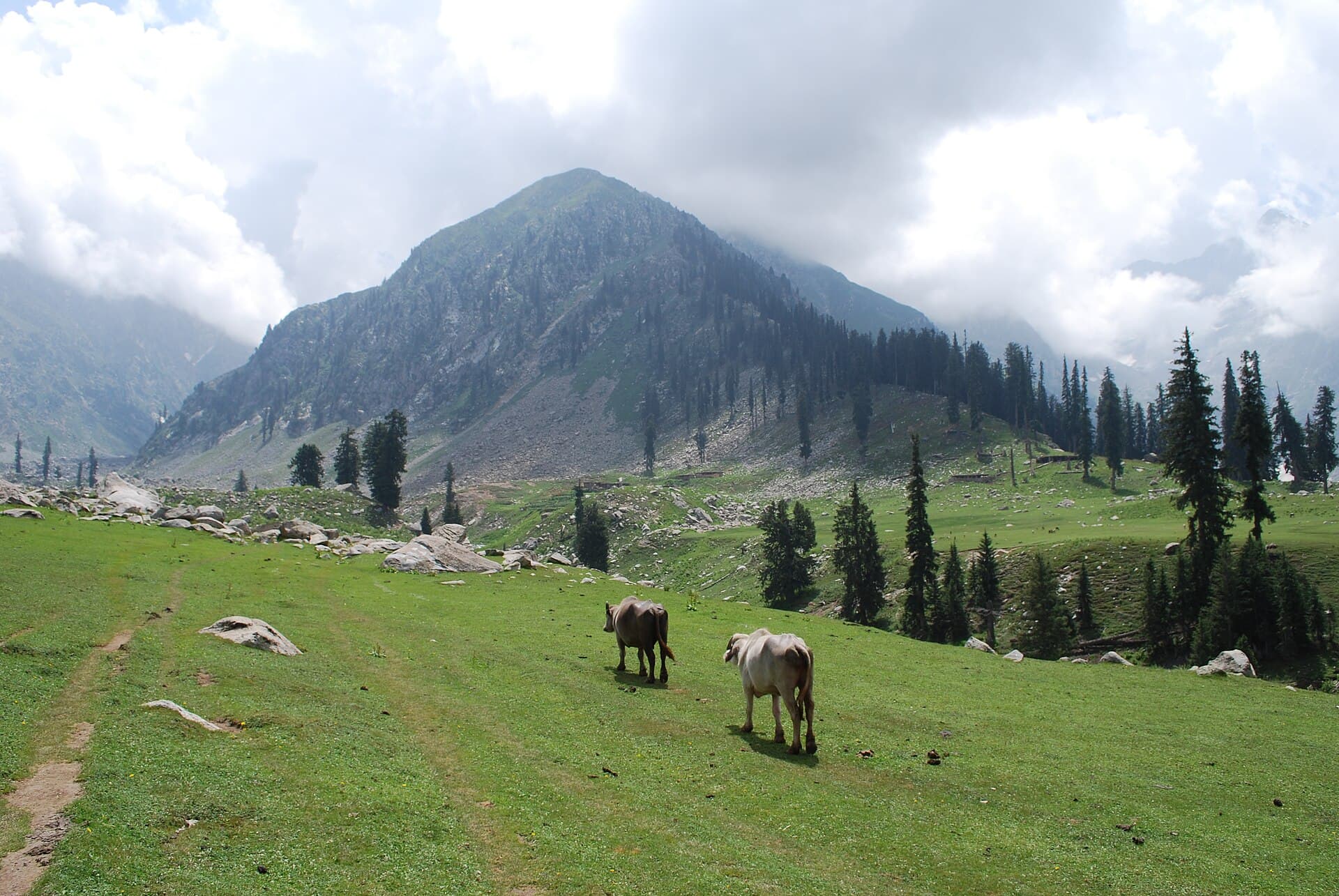 Jahaz Banda meadow, where we camped the first night.